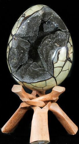 Septarian Dragon Egg Geode - Black Crystals #48006